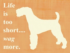 Life is too shorto wag more