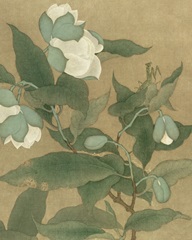 Magnolia and Praying Mantis