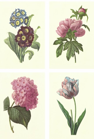 Mini Boudoin Florals