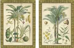 Mini Palms in Rattan