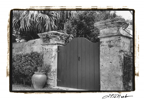 Old Bermuda Gate I