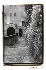 Passing through Prague II