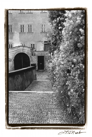 Passing through Prague II