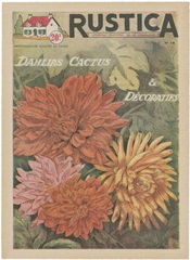 Plantez Des Decoratifs