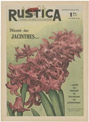 Plantez Des Jacinthes