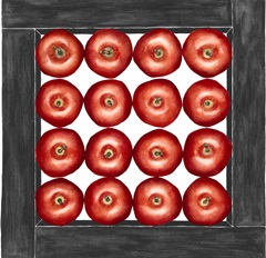 Red Apples Cubed