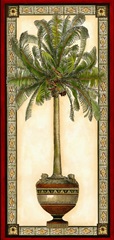 Red Bordered Palm I