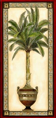 Red Bordered Palm II