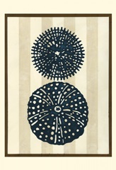 Sea Life Silhouette II