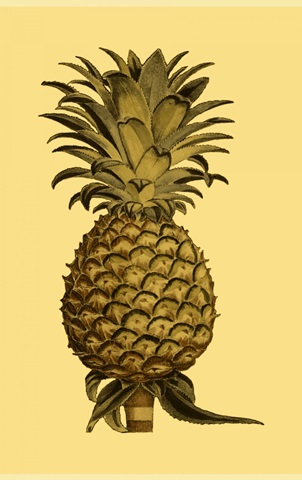 Sepia Pineapple I
