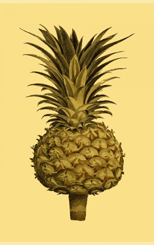 Sepia Pineapple II