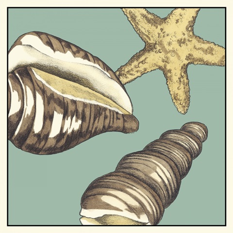 Shell Trio on Blue I