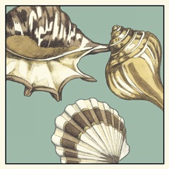 Shell Trio on Blue III