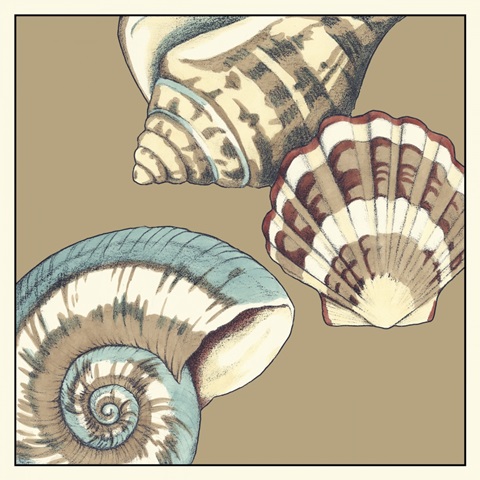 Shell Trio on Khaki II
