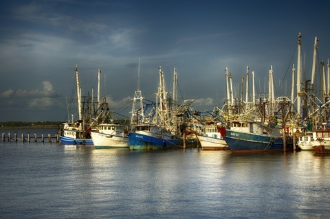 Shrimp Boats I
