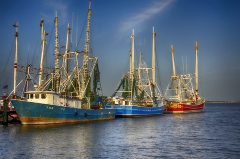 Shrimp Boats III