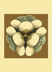 Small Floral Mandala on Caramel I