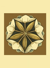 Small Floral Mandala on Caramel IV