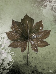 Dry Leaf I
