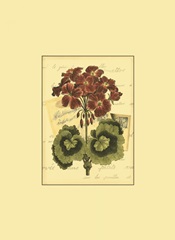 Mini Romantic Bouquet IV