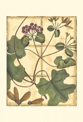 Printed Rustic Garden I