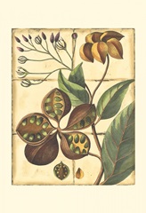 Printed Rustic Garden II