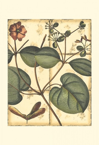 Printed Rustic Garden III