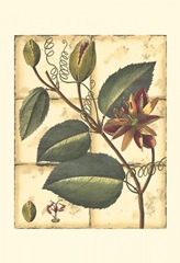 Printed Rustic Garden IV