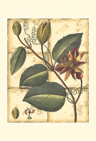 Printed Rustic Garden IV