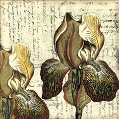 Printed Vintage Composition III