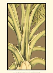 Small Graphic Palms on Khaki III