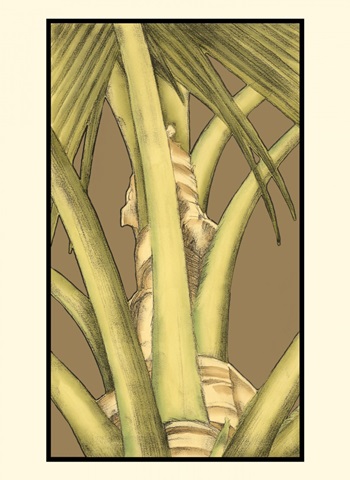 Small Graphic Palms on Khaki IV