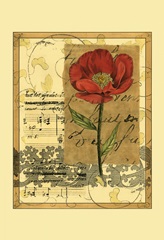 Small Poppy Melody I