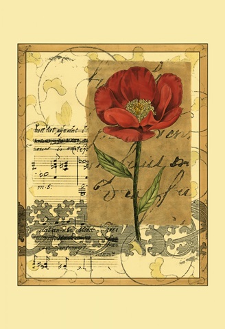 Small Poppy Melody I