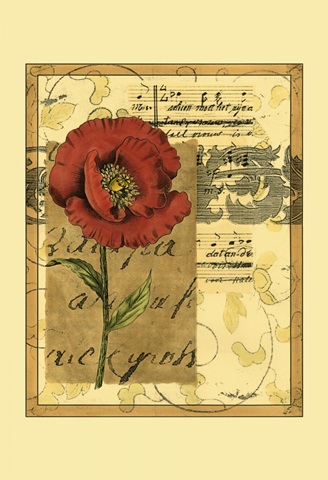 Small Poppy Melody II