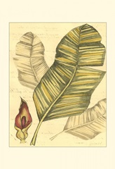 Small Reminiscence I