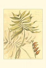 Small Reminiscence II