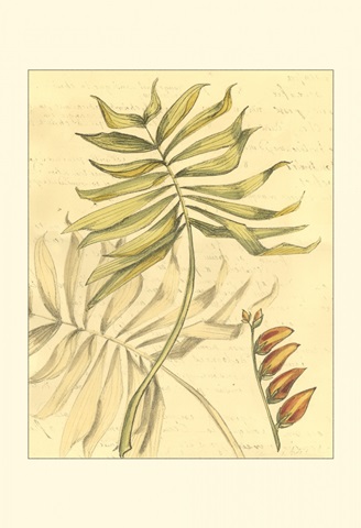 Small Reminiscence II