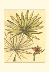 Small Reminiscence IV