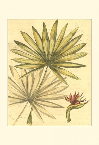 Small Reminiscence IV