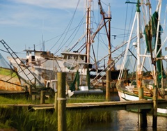 Small Safe Harbor III