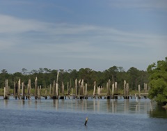 Small Safe Harbor VI