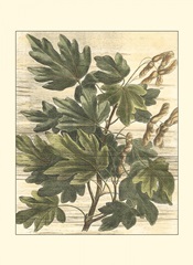 Small Weathered Maple Leaves I