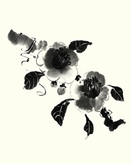Studies in Ink - Camellia
