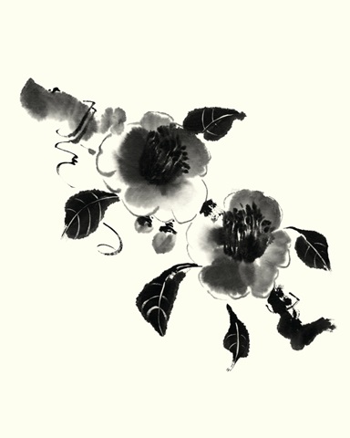 Studies in Ink - Camellia