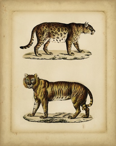 Studies in Natural History I