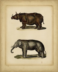 Studies in Natural History III