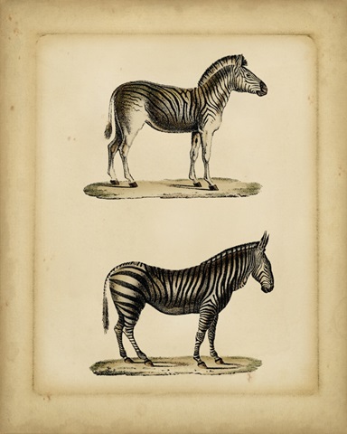 Studies in Natural History IV