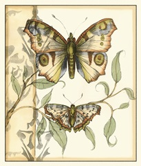 Tandem Butterflies I