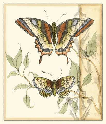 Tandem Butterflies II